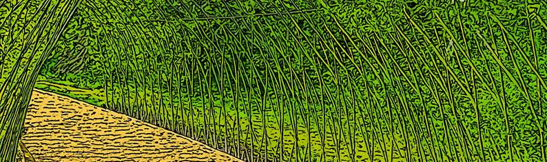 taking the long view